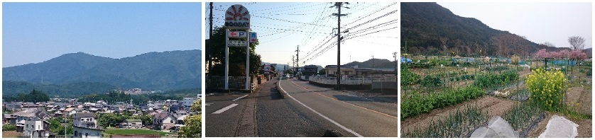 住宅・道路・貸農園の画像