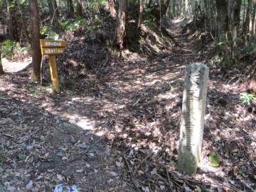 登山道案内板