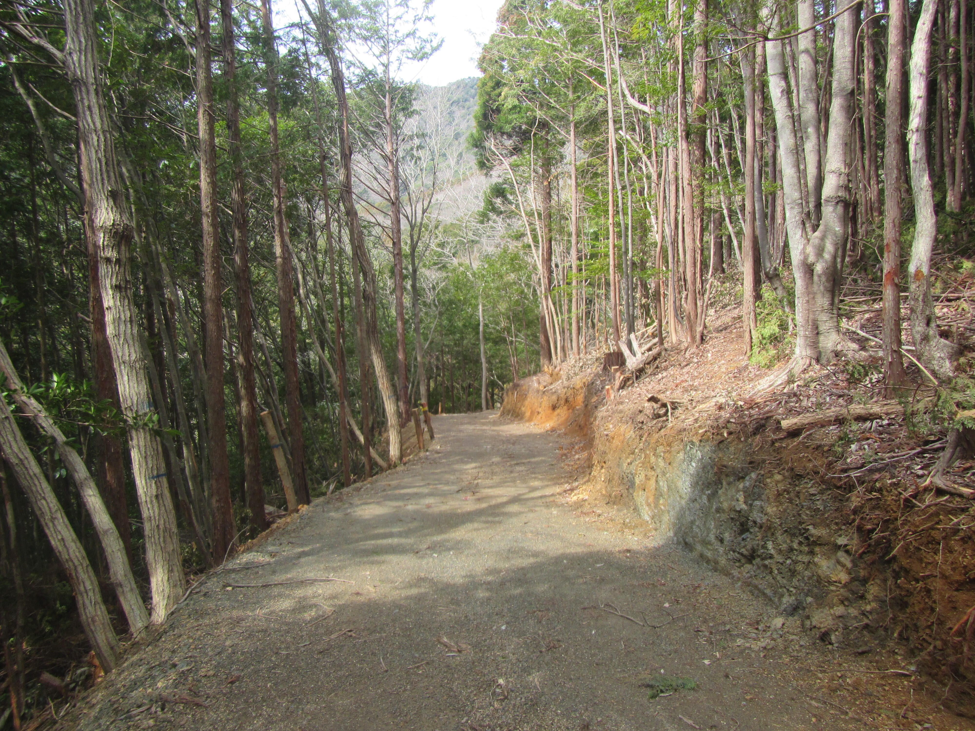 路網整備の状況(4)